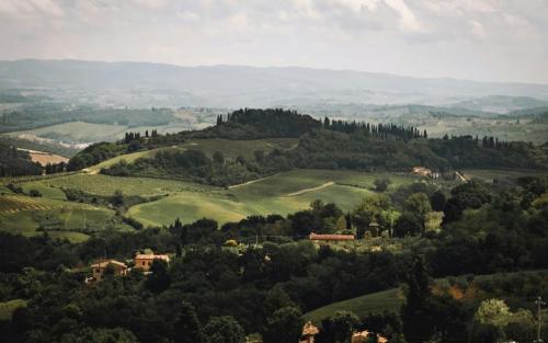 Vista